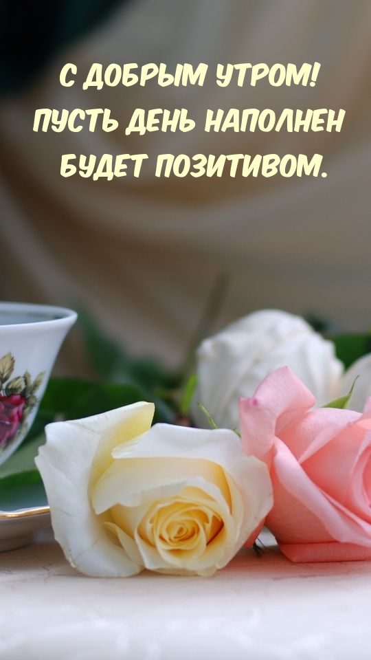 С добрым утром! Пусть день наполнен будет позитивом.