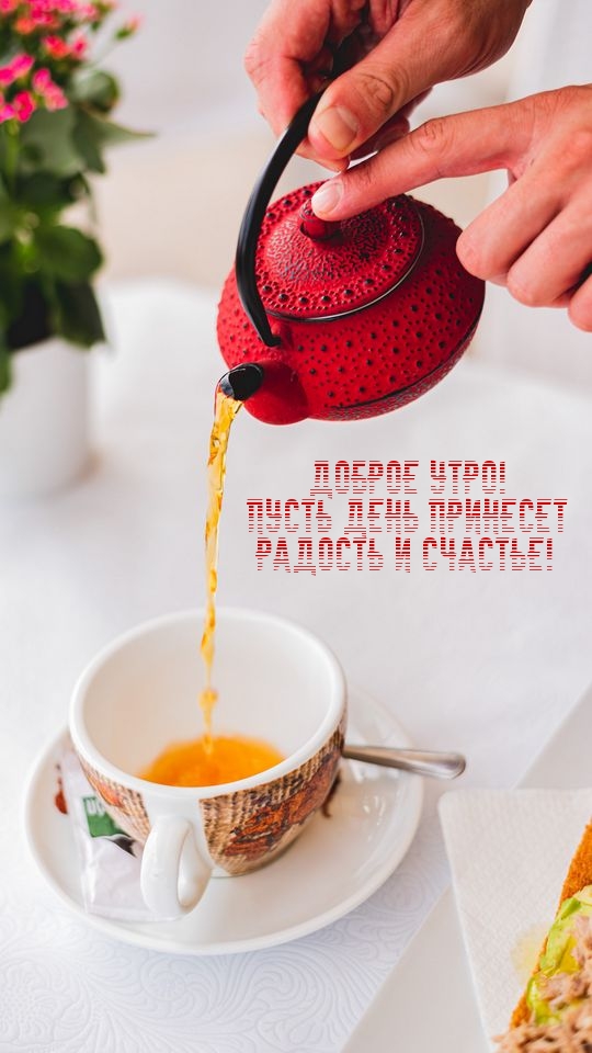 Доброе утро! Пусть день принесет Радость и счастье!