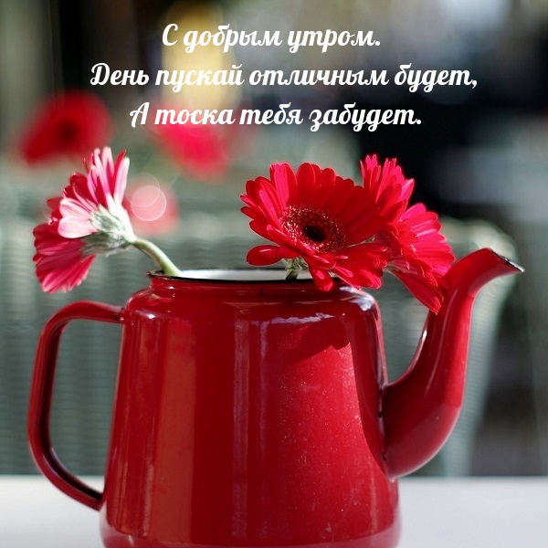 С добрым утром. День пускай отличным будет