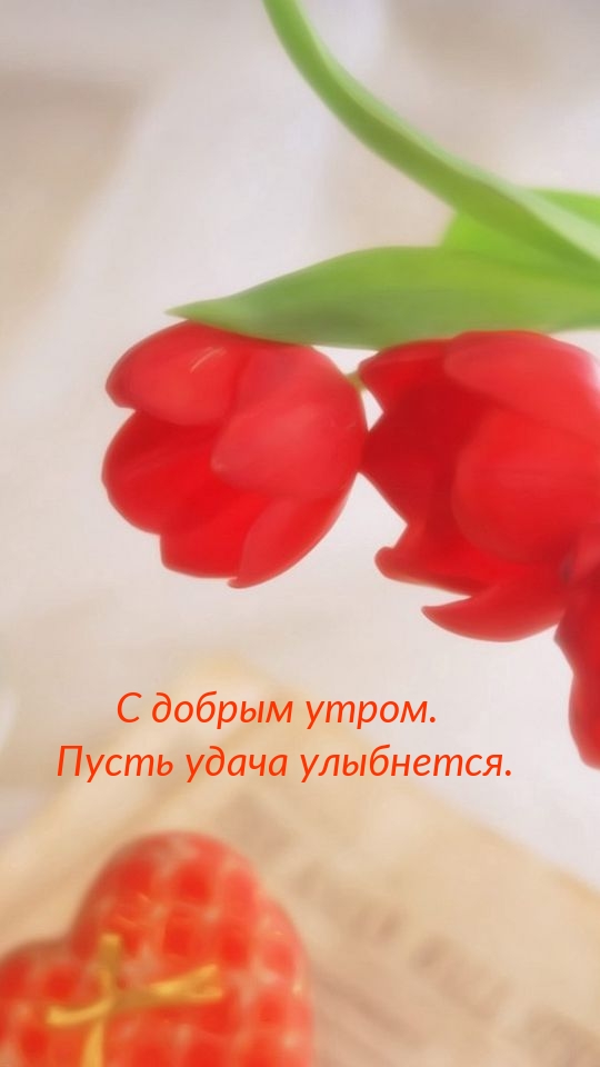 С добрым утром. Пусть удача улыбнется.