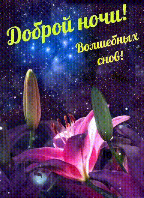 Доброй ночи! Волшебных снов!