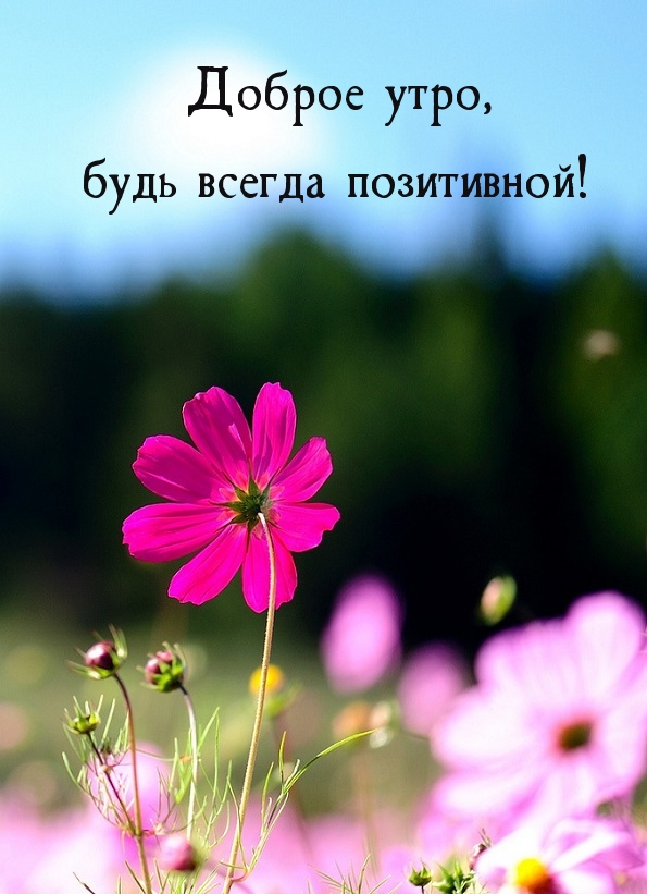Доброе утро, будь всегда позитивной!