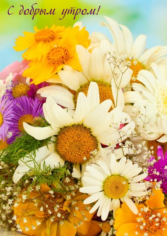 С добрым утром!