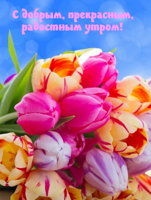 С добрым, прекрасным, радостным утром!
