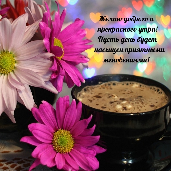 Желаю доброго и прекрасного утар!