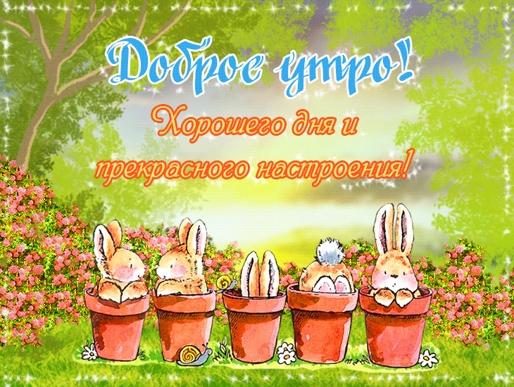 Доброе утро, хорошего дня и прекрасного настроения!