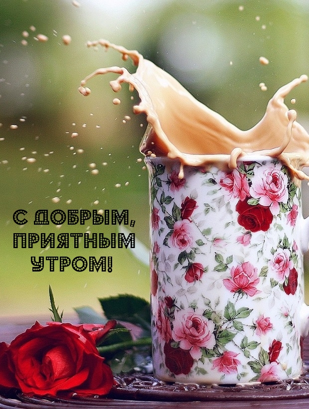 С добрым, приятным утром!