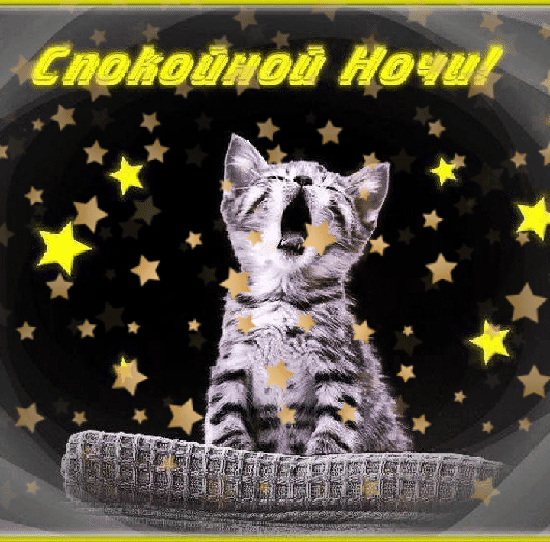 Спокойной ночи! от котика