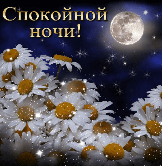 Спокойной ночи!