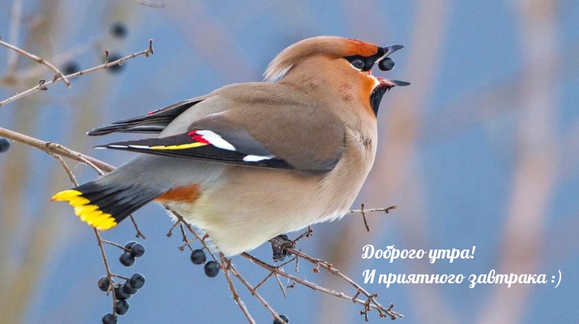 Доброго утра! И приятного завтрака :)