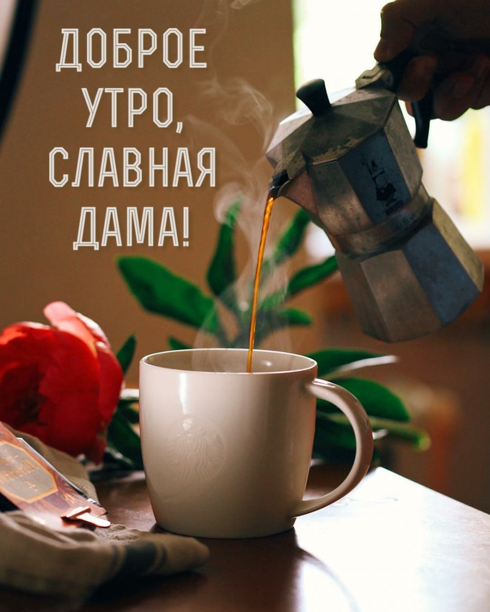 Доброе утро, славная дама!