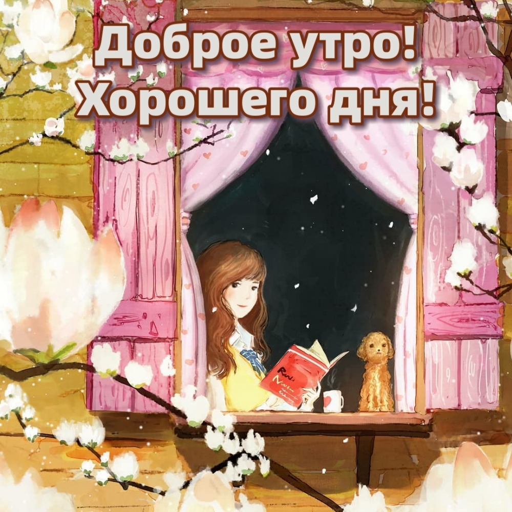 Доброе утро! Хорошего дня!