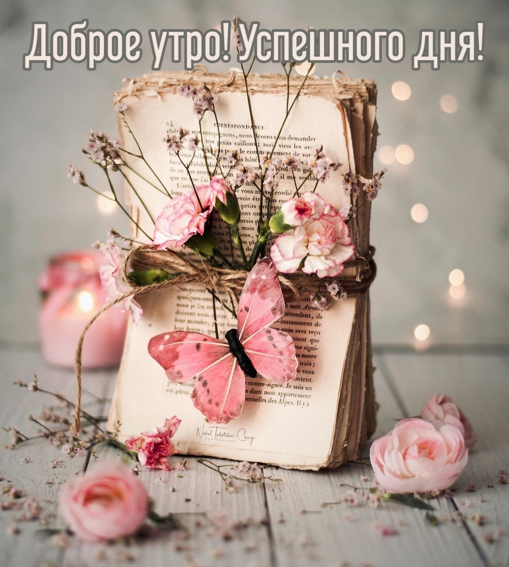 Доброе утро! Успешного дня!