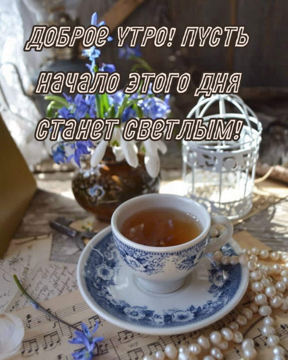 Доброе утро! Пусть начало этого дня станет светлым!