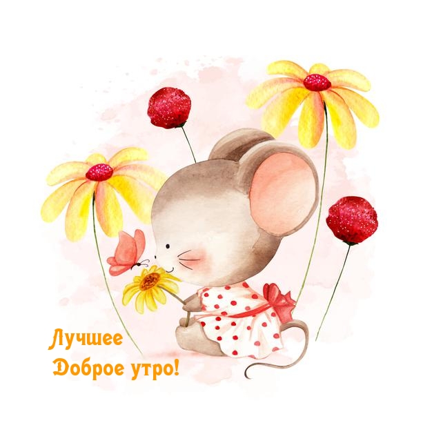 Лучшее Доброе утро!