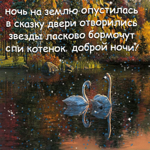 Спи котенок, доброй ночи!