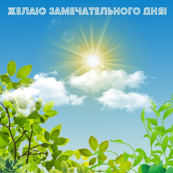 Желаю замечательного дня!