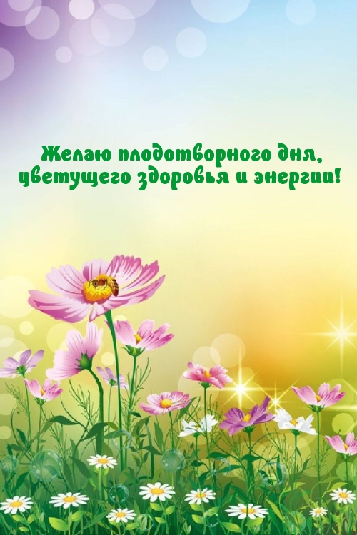 Желаю плодотворного дня, цветущего здоровья и энергии!