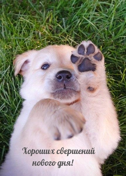 Хороших свершений нового дня!