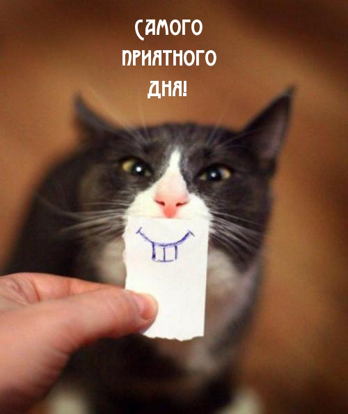 Самого приятного дня!