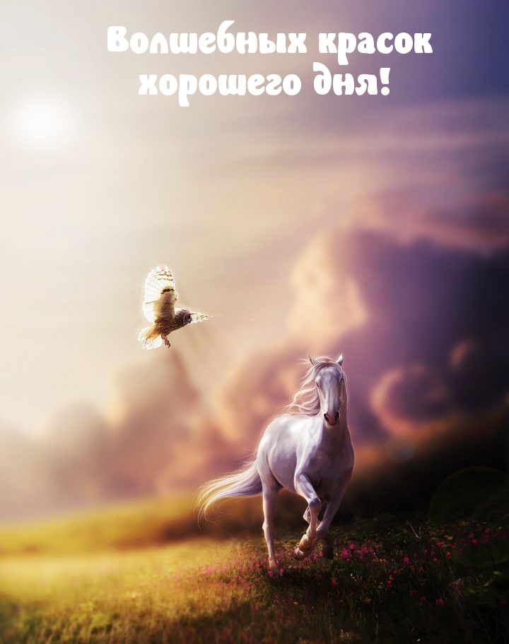 Волшебных красок хорошего дня!