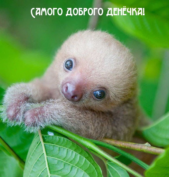 Самого доброго денёчка!