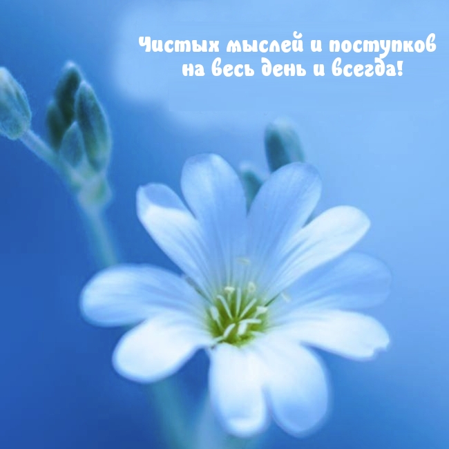 Чистых мыслей и поступков на весь день и всегда!