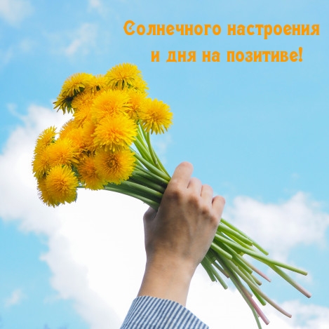 Солнечного настроения и дня на позитиве!