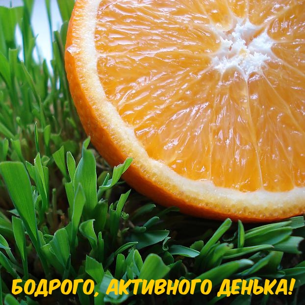 Бодрого, активного денька!