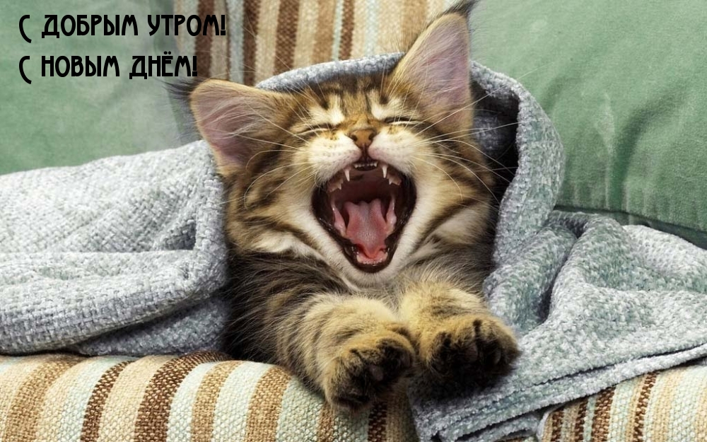 С добрым утром! С новым днём!