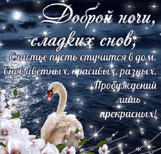 Доброй ночи, сладких снов!