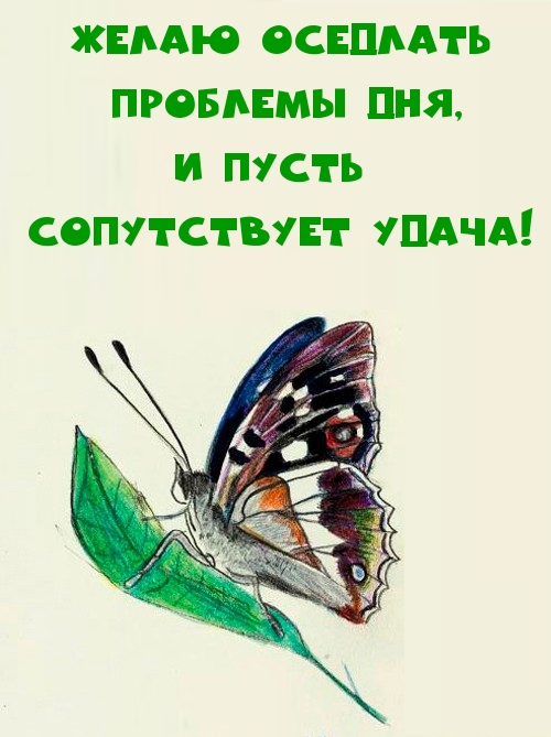 Желаю оседлать проблемы дня, и пусть сопутствует удача!