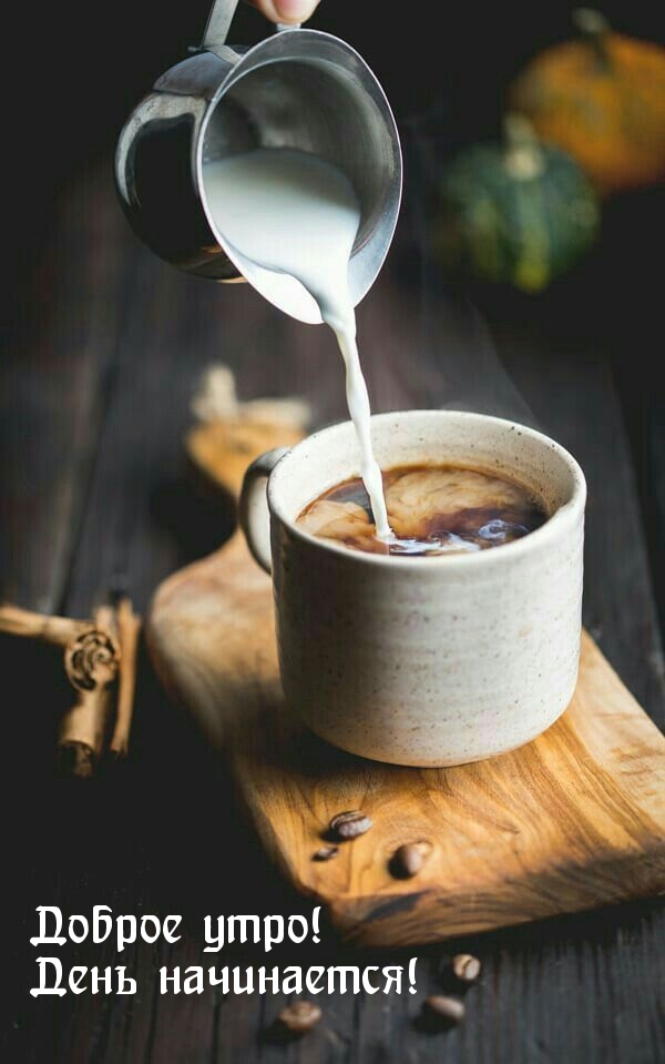 Доброе утро! День начинается!