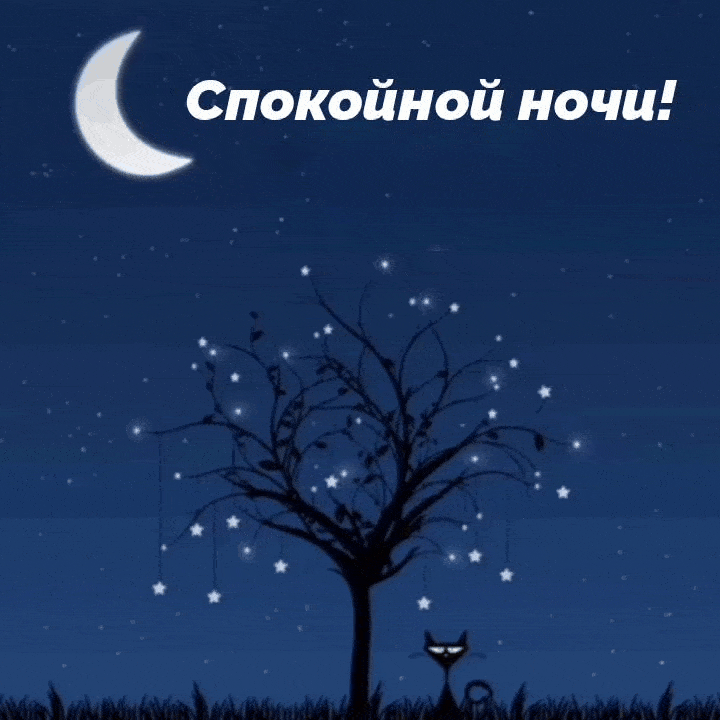 Спокойной ночи!