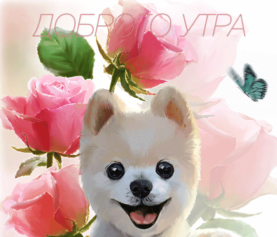 Доброго утра