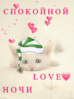 Спокойной ночи! люблю
