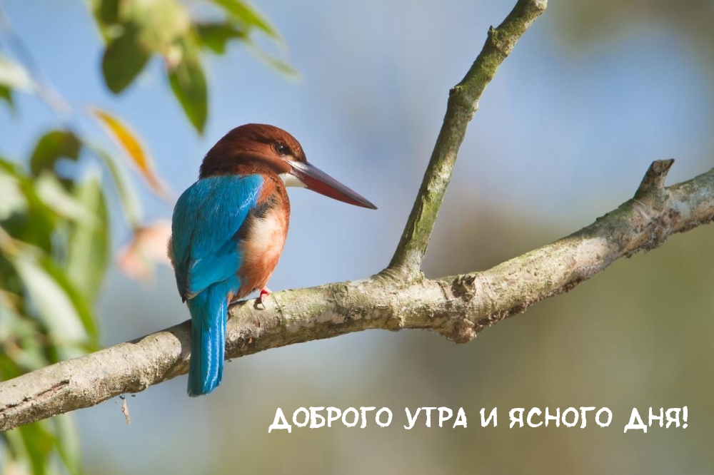 Доброго утра и ясного дня!