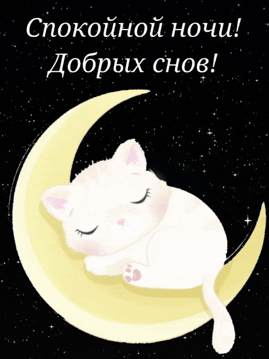 Спокойной ночи! Добрых снов!