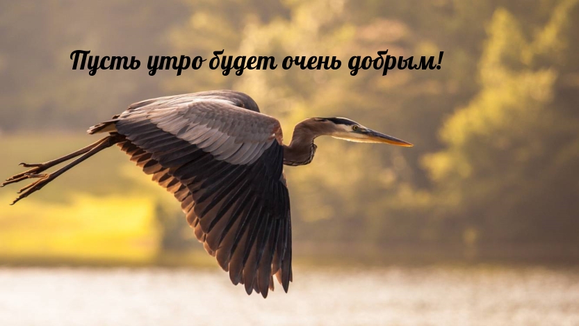 Пусть утро будет очень добрым!