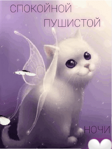 Спокойной пушистой ночи