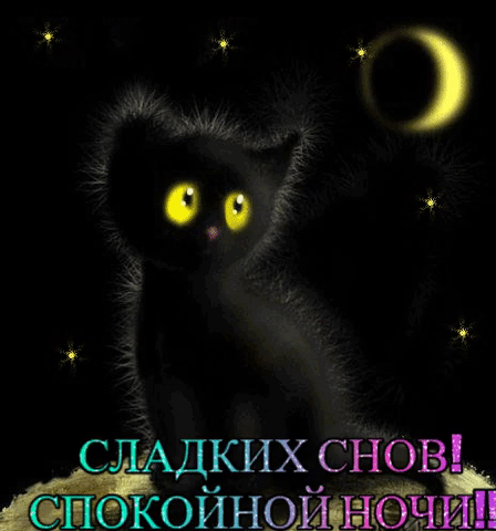 Сладких снов! Спокойной ночи!