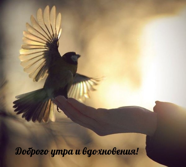 Доброго утра и вдохновения!