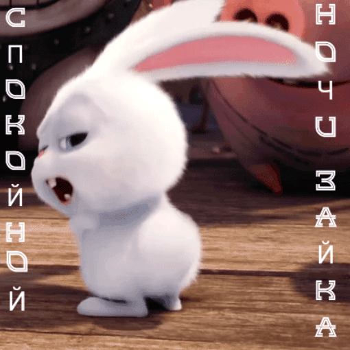 Спокойной ночи, зайка