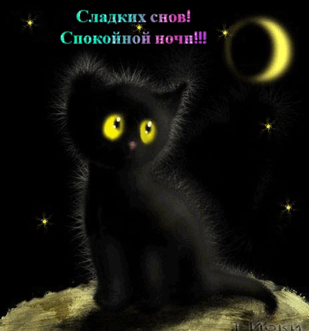 Сладких снов! Спокойной ночи!!!