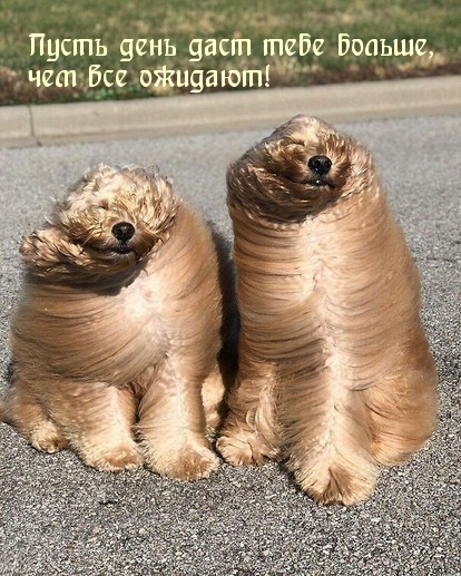 Пусть день даст тебе больше, чем все ожидают!