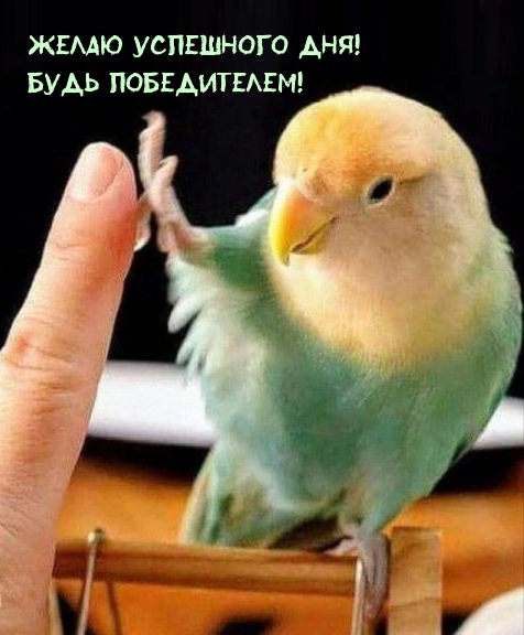Желаю успешного дня! Будь победителем!