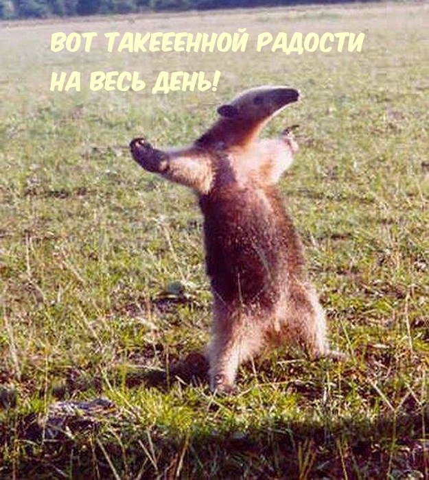 Вот такееенной радости на весь день!