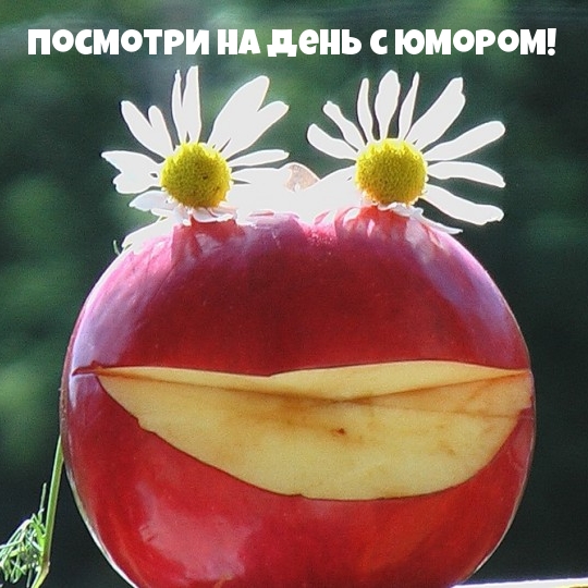 Посмотри на день с юмором!