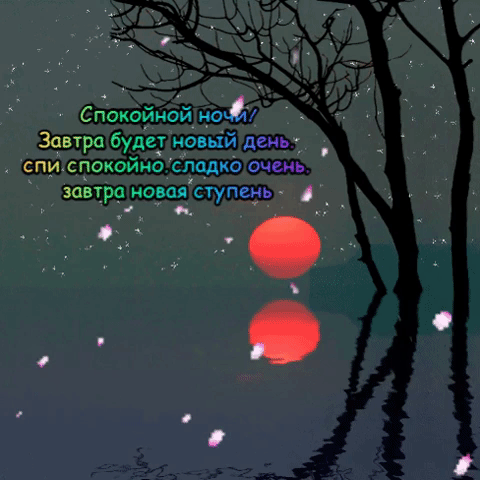 Спокойной ночи! Завтра будет новый день