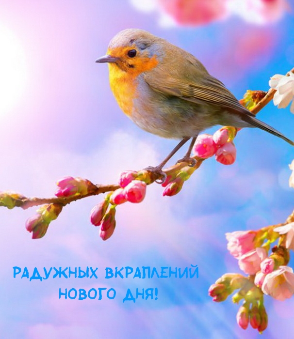 Радужных вкраплений нового дня!